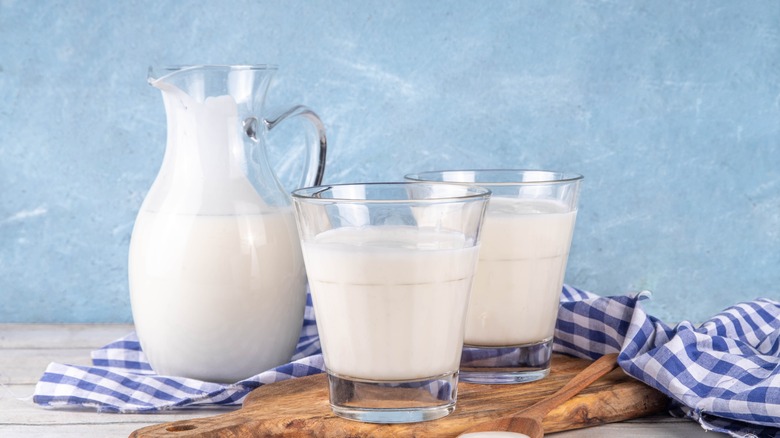 Small pitcher and two short glasses of buttermilk with blue background