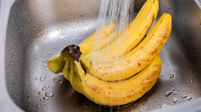 A bunch of bananas being washed in a stainless steel sink