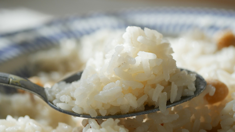 A close-up of a spoon of white rice