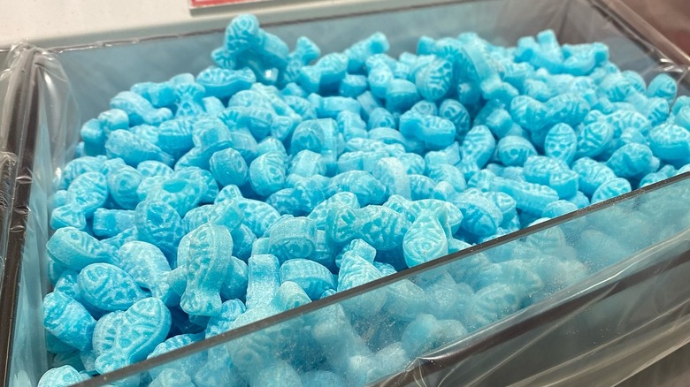 Bin of blue candy spickesill