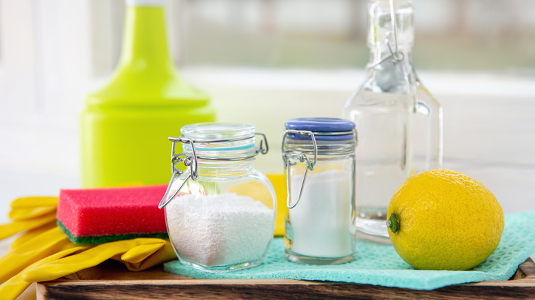 pantry staple cleaning items
