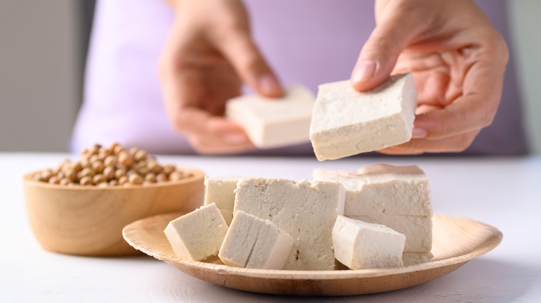 Hands holding pieces of tofu