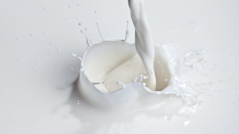 stream of milk being poured
