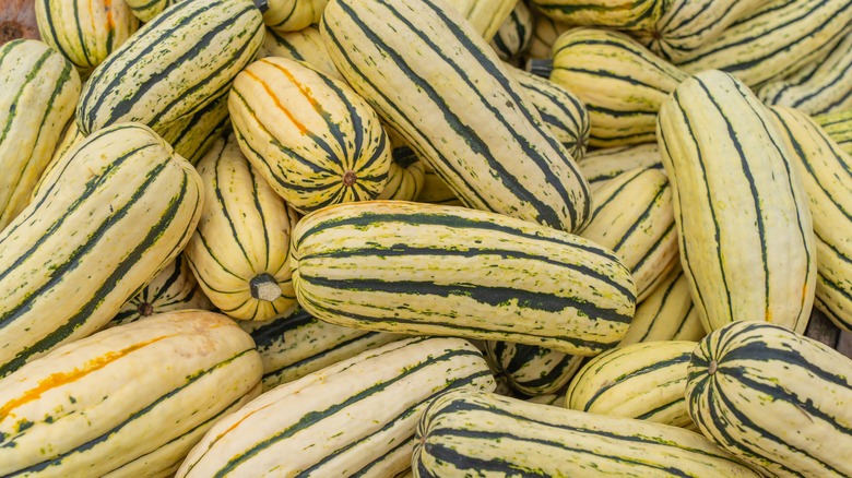 A close up of delicata winter squashes