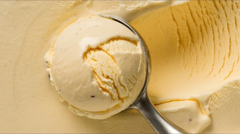creamy yellow-ish ice cream with scoop