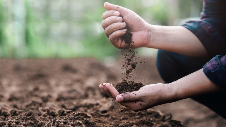 Gardener pouring soil over their hands