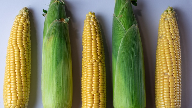 Corn cobs with and without husks