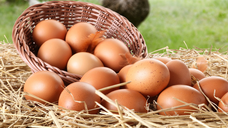 Fresh chicken eggs in a wicker basket
