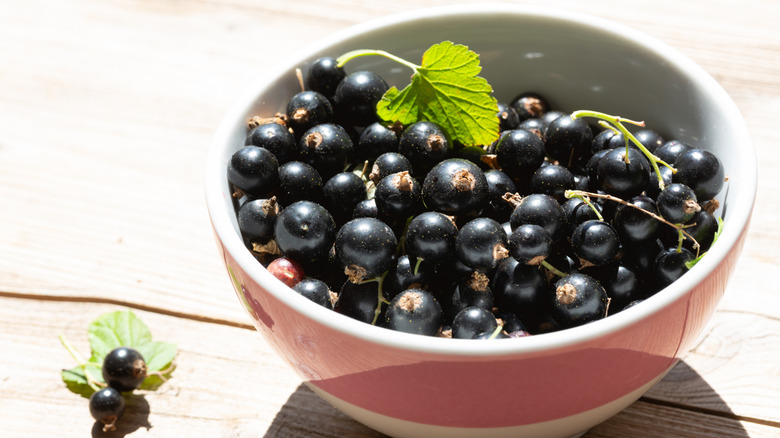 A bowl of blackcurrants