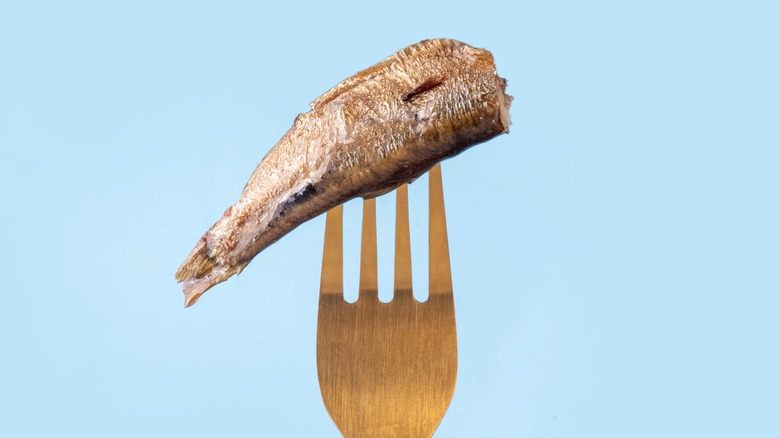 a piece of sardine on a fork against a blue background