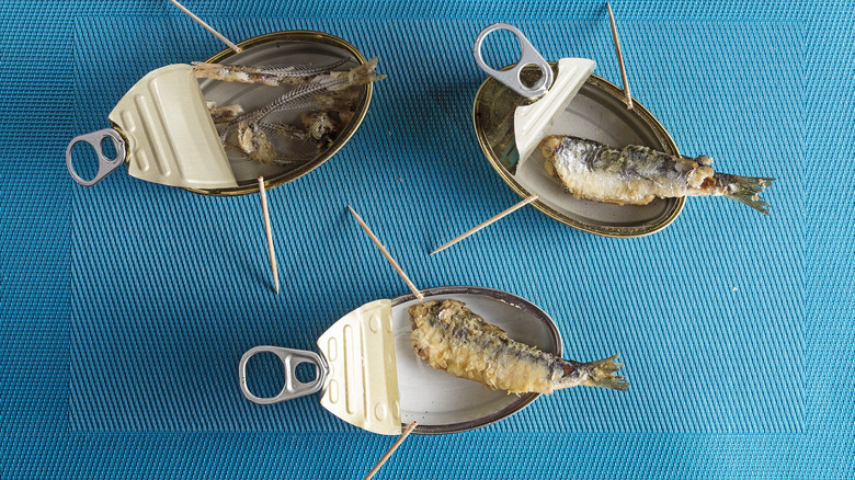 Cans of sardines and bones on a blue background