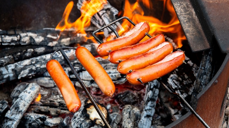 roasting hot dogs over campfire