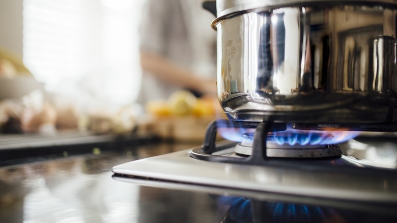 kitchen steamer on gas range