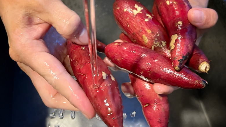 Rinsing a handful of sweet potatoes in running water