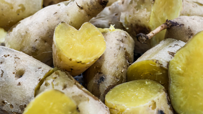 Close-up of a boiled yellow sweet potato
