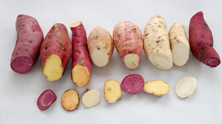 A variety of sweet potatoes on a white background