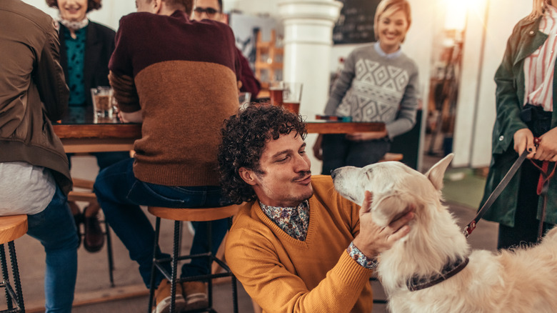 dog at busy resaurant