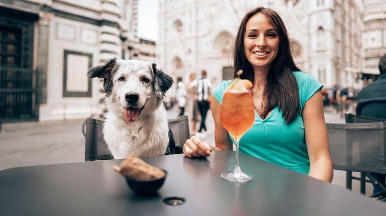dog on chair at restaurant