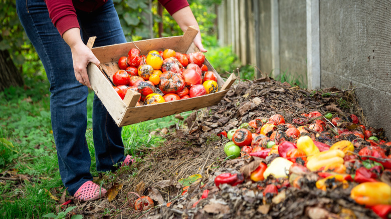 A woman carrying rotten tomatoes