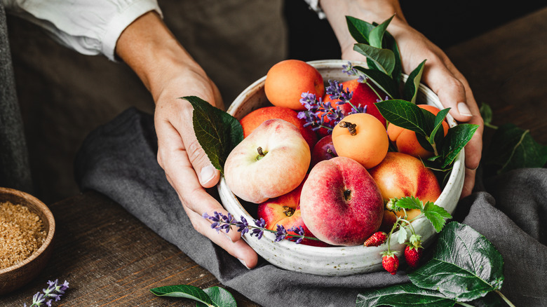 Person holding bowl of apricots