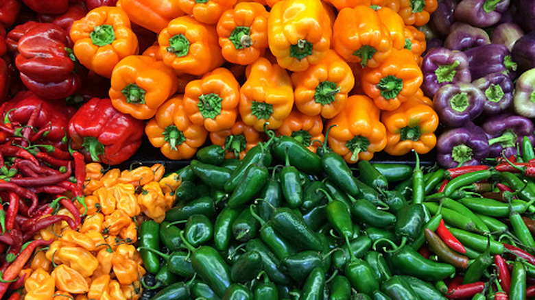 Different chili and bell peppers