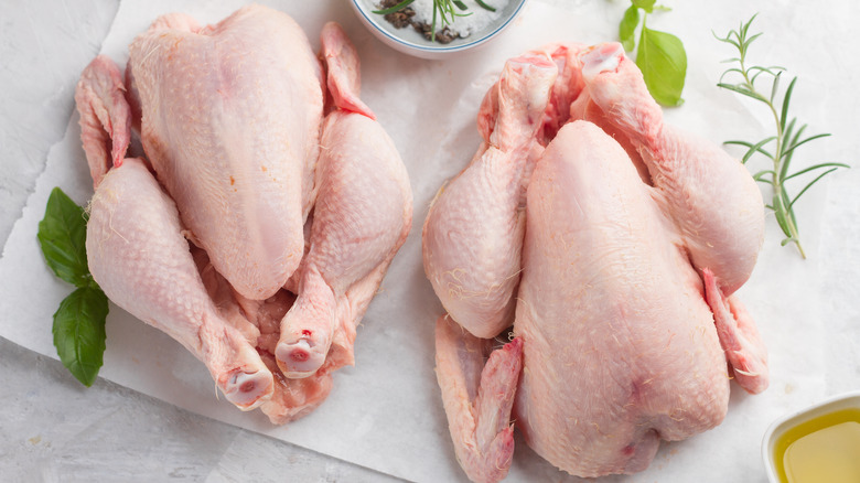 Two raw chickens on white paper, surrounded by seasoning and green herbs