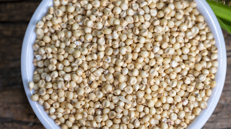 Sorghum grains in a bowl
