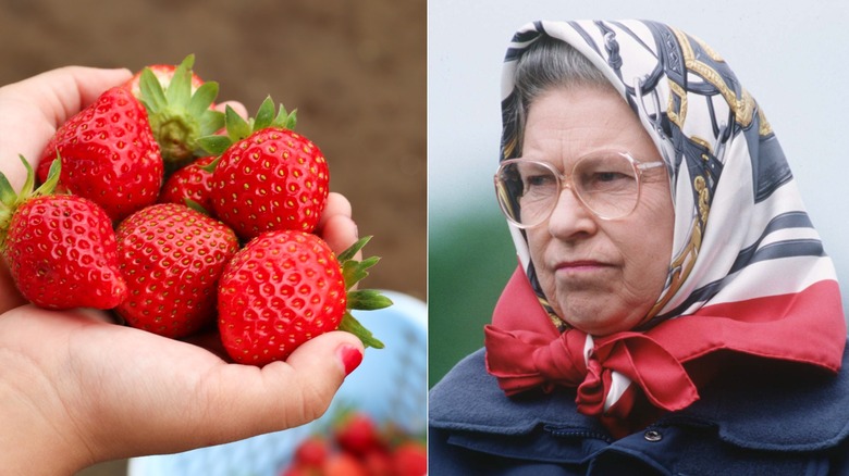 A child's hand with strawberries, opposite a picture of Queen Elizabeth in a headscarf