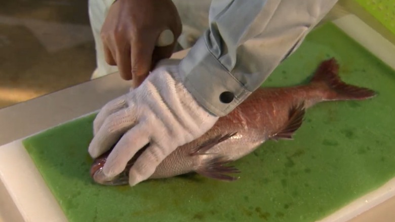 Japanese seafood master Toshihiro Orabi using acupuncture on a fish
