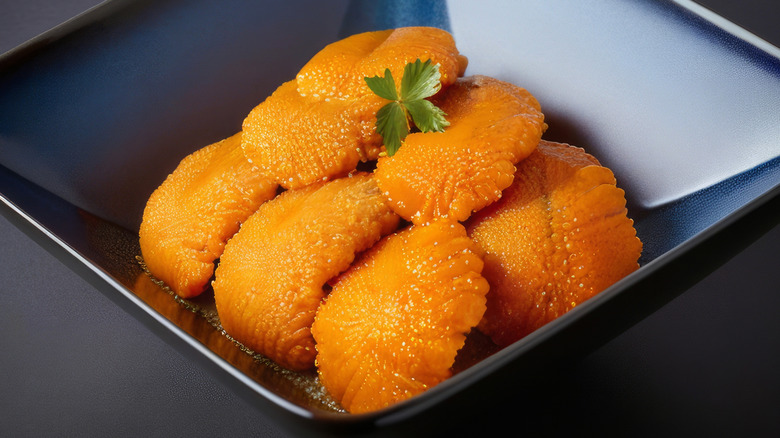 Fresh uni or sea urchin in a square, grey bowl
