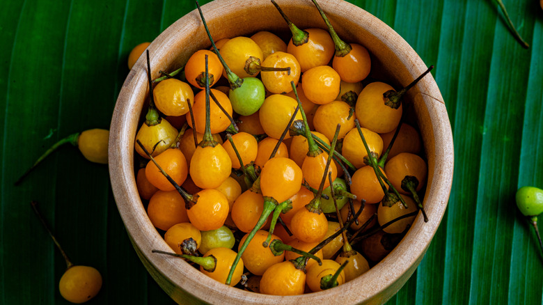 bowl of aji charapita chilli peppers