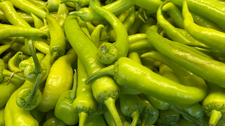 Green Carliston banana peppers closeup
