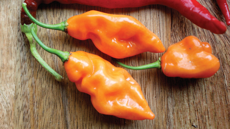 Habanada peppers on wood surface