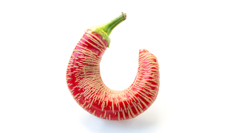 Macedonian rezha pepper on white background