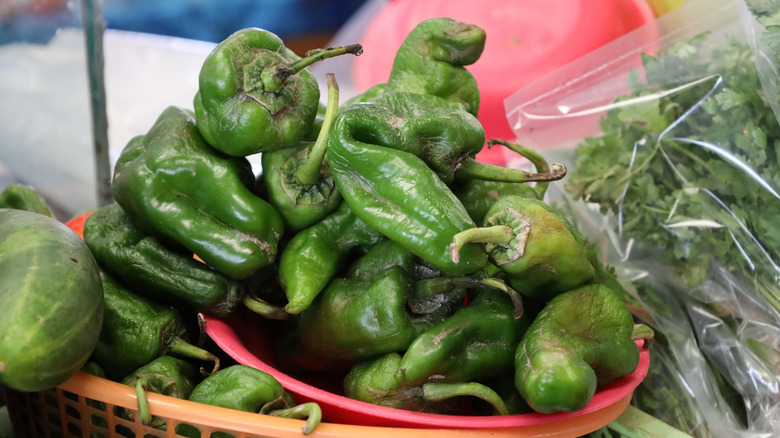 Padrón peppers in basket closeup