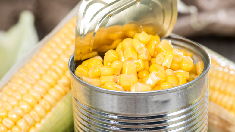 Close-up of an opened can of sweet corn with two cobs in the background
