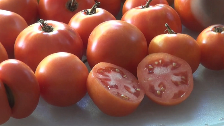 New Yorker tomatoes closeup on white cutting board