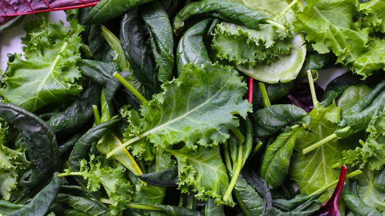 Mix of fresh vegetable green leaves
