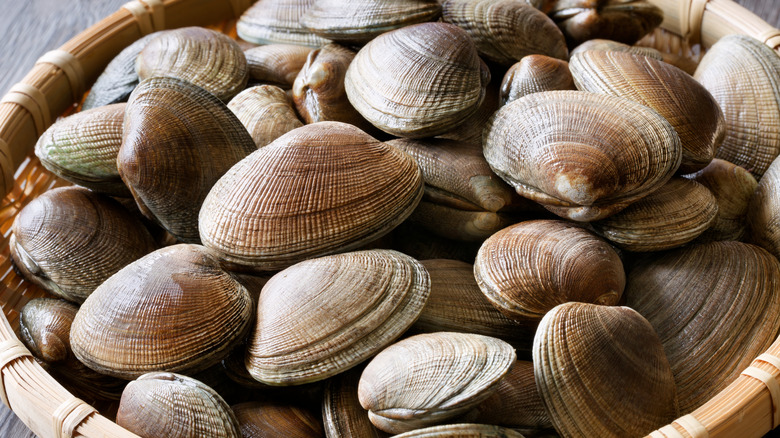 A basket of clams