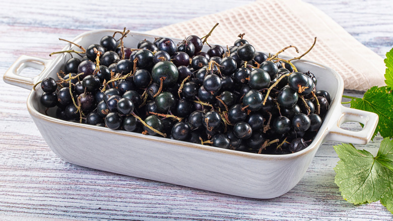 Ripe fresh black currants branches in the bowl