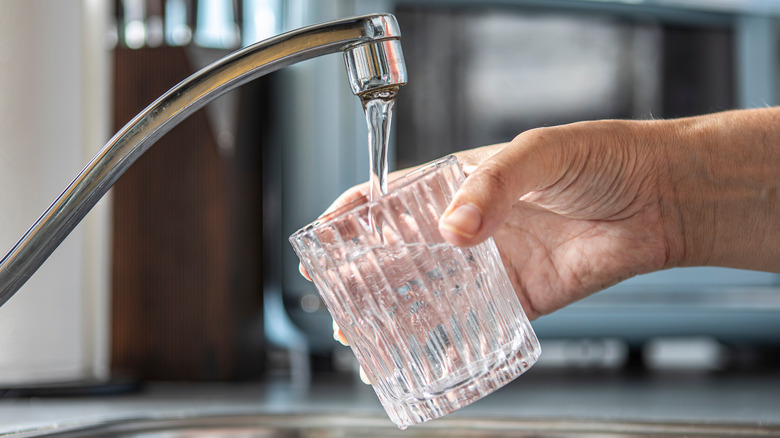Closeup of a glass being filled with tap water in a kitchen
