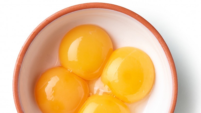 egg yolks in a bowl
