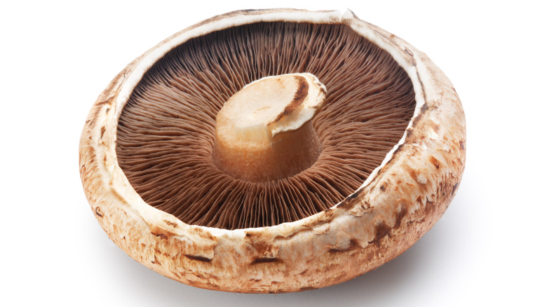 A pile of portabella mushrooms