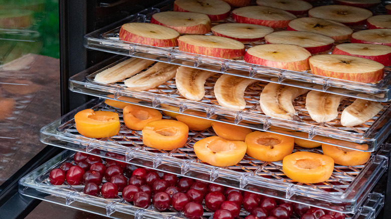 fruits in dehydrator