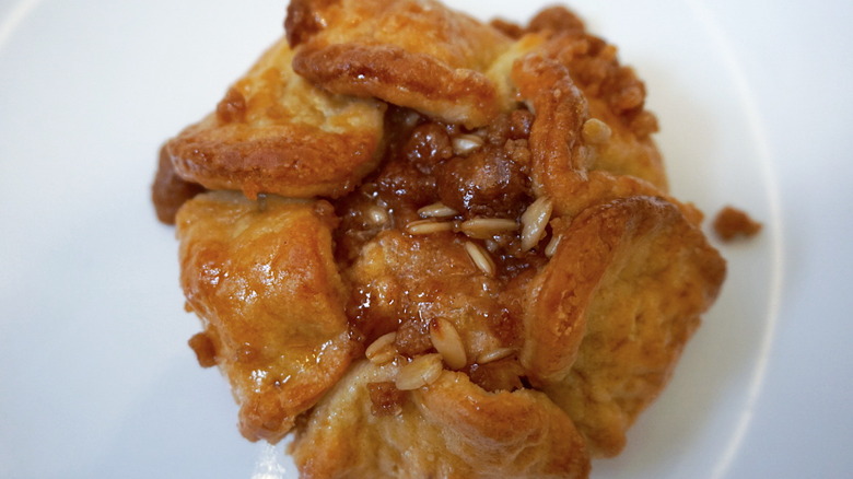 close-up of Apple Blossom