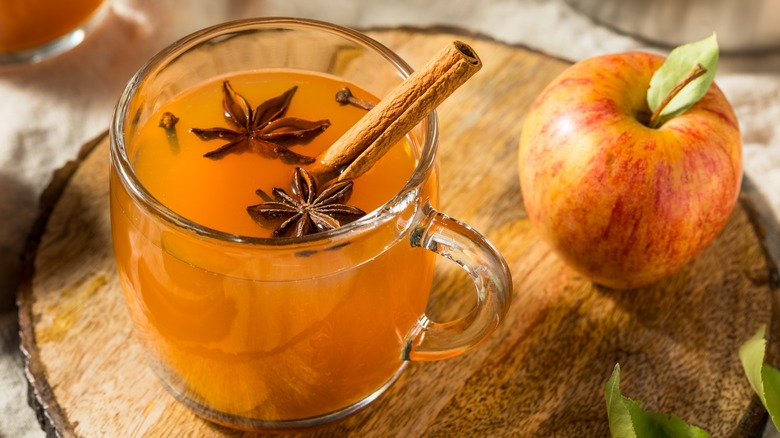 A glass of warm cider with star anise, cloves and cinnamon in it