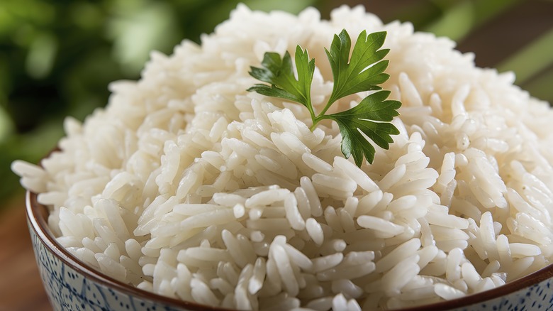 A bowl filled with fluffy white rice