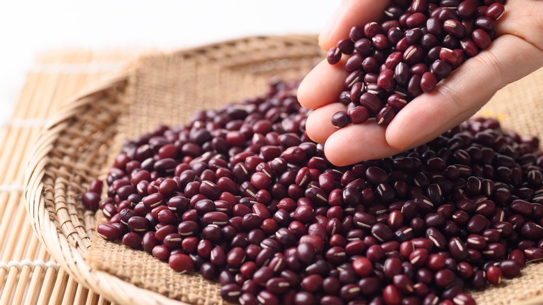 hand holding adzuki beans