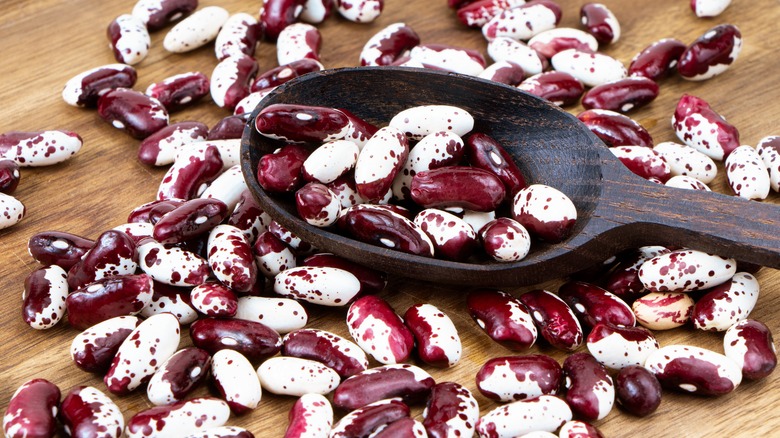 Anasazi beans on spoon