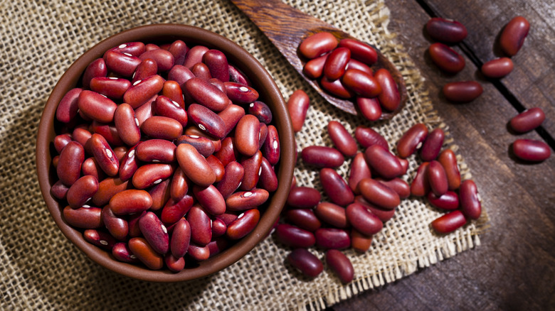 bowl and spoon with kidney beans